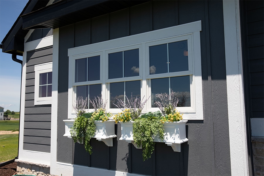 Window Services